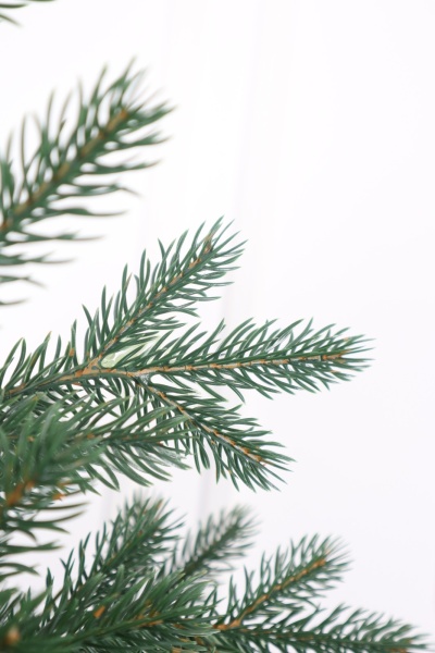 Ель "Амурская Премиум" 2,3м