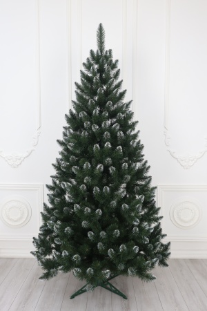 Ель "Кавказская" 2,9 м белые кончики