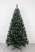Ель "Кавказская" 2,9 м белые кончики