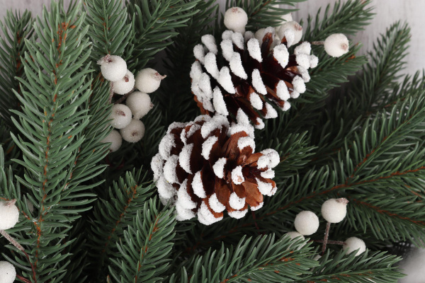 Рождественский венок "Кремлёвский с хлопком и шишками"