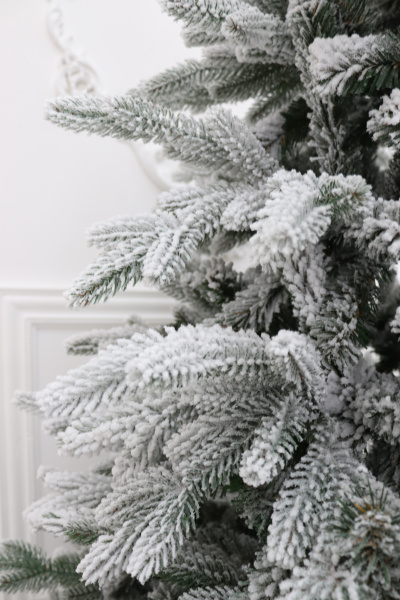 Ель "Царевна заснеженная" 1,14 м