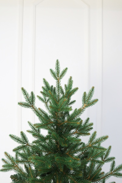 Ель "Итальянская" 2,4 м