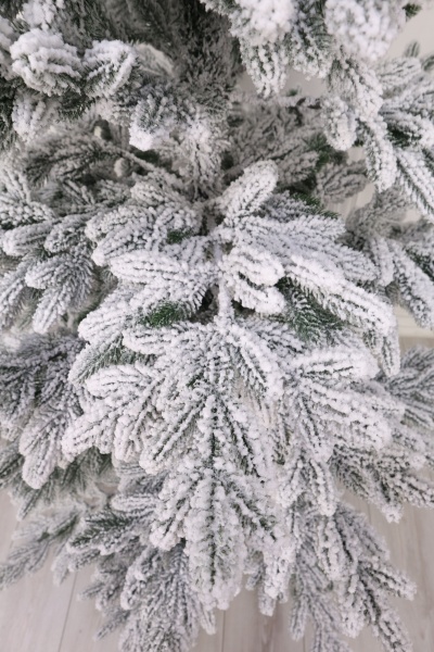 Ель "Карельская Премиум" заснеженная 1,5м