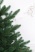 Ель "Датская Премиум" 0,65 м