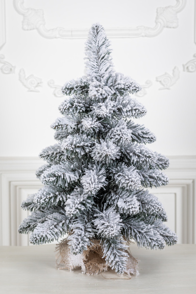 Ель Сибирская заснеженная 0,6 м в коробке