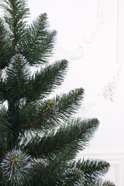 Ель "Кавказская" 1,1 м белые кончики