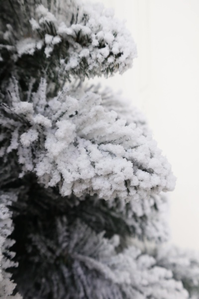 Ель "Сибирская Люкс" заснеженная 2,2 м. ветки вниз Ель "Сибирская Люкс" заснеженная 2,2 м. ветки вниз