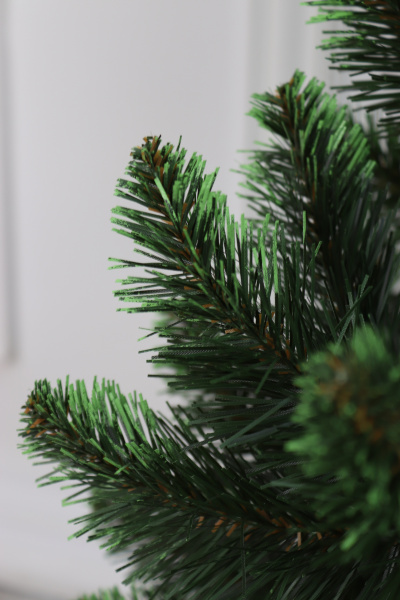 Ель "Кавказская Люкс" 1,1 м св.зелёные кончики