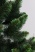 Ель "Кавказская Люкс" 3,0 м св.зелёные кончики