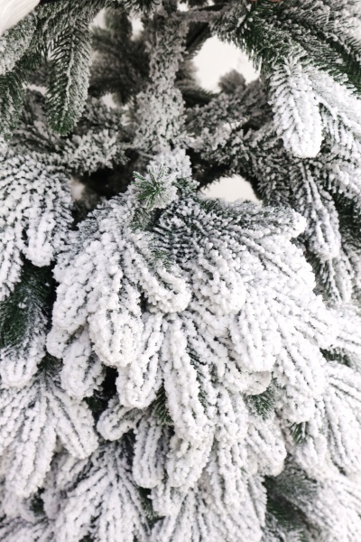 Ель "Бельгийская Премиум" (зонтик) заснеженная 1,8 м