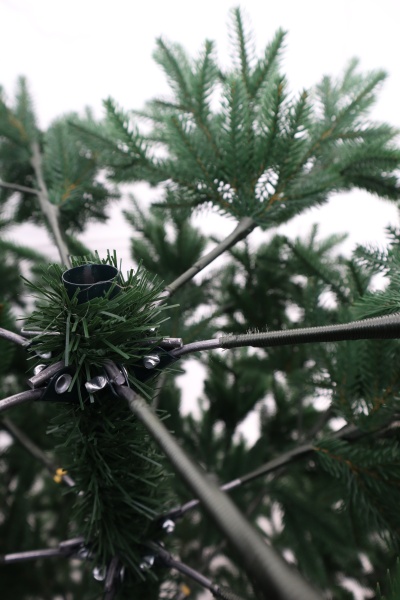 Ель "Датская Премиум" 2,62 м