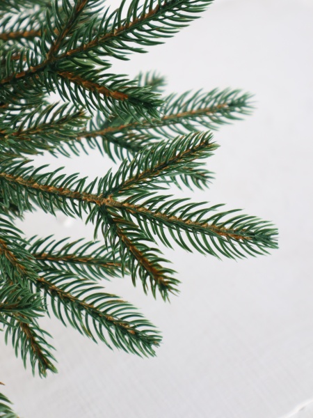 Ель "Французская Премиум" 0,75 м