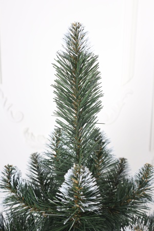 Ель "Кавказская" 2,9 м белые кончики