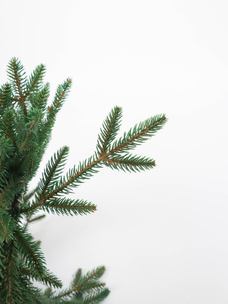 Рождественский венок "Итальянский"