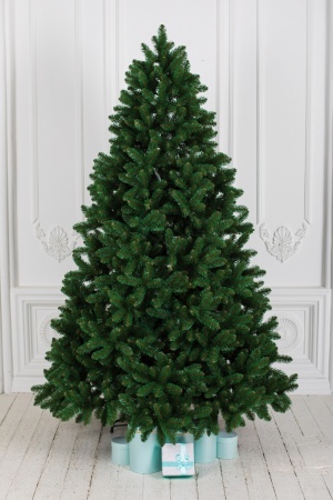 Ель "Алтайская" 2,8 м