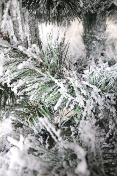 Ель "Кавказская Люкс" заснеженная  3 м. м/н