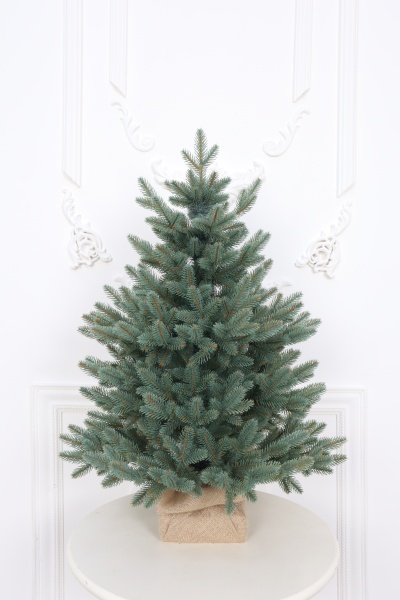 Ель "Датская голубая Премиум" 0,75 м