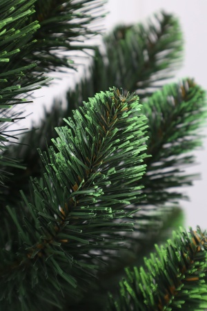 Ель "Кавказская Люкс" 2,2 м св.зелёные кончики