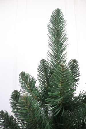 Ель "Кавказская Люкс" 2,2м