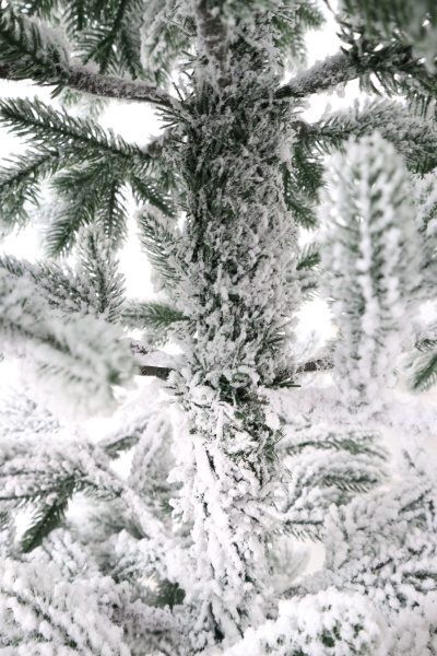 Ель "Карельская Премиум" заснеженная 2,3м Ель "Карельская Премиум" заснеженная 2,3м