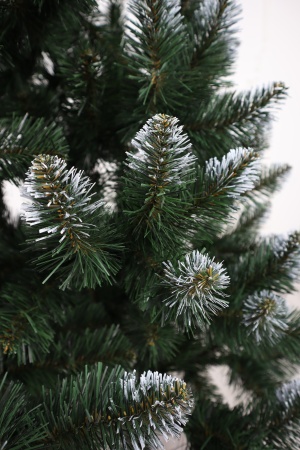 Ель "Кавказская Люкс" 3,0 м белые кончики