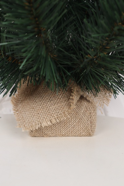 Ель "Кавказская" 0,5 м 