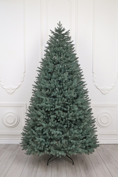 Ель "Датская голубая Премиум" (зонтик) 2,4 м