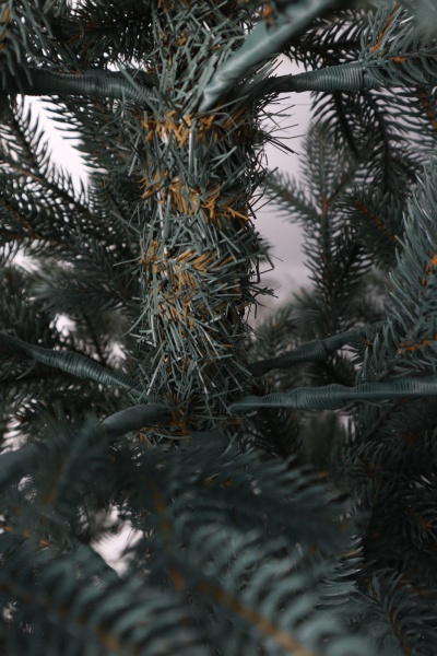 Ель "Карельская Премиум" голубая 2,3м Ель "Карельская Премиум" голубая 2,3м