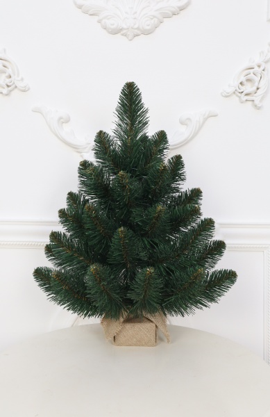 Ель "Кавказская" 0,5 м 