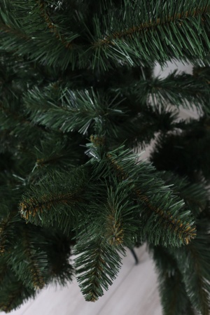 Ель "Кавказская Люкс" 3,0 м