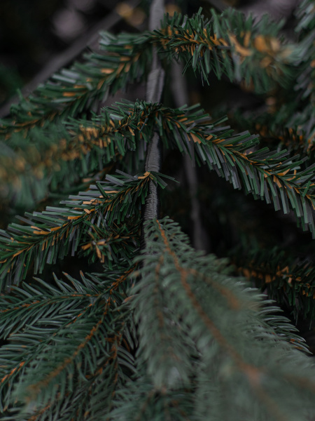 Ель "Кремлёвская" 2,35 м